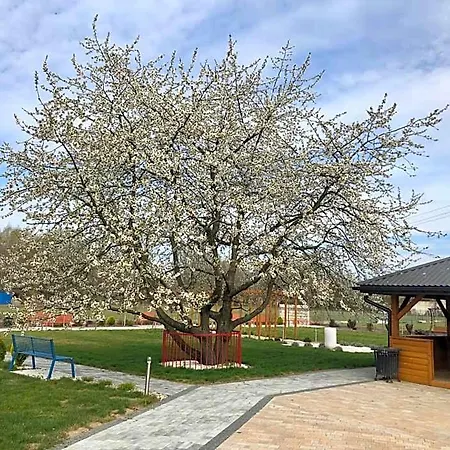 Kardamon 3* Zbylitowska Gora